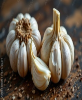 Garlic (Lehsun)