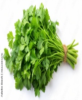 Coriander Leaves