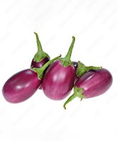 Purple Brinjal